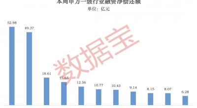 龙头股分化明显！超178亿元净偿还，杠杆资金大调仓（附名单）