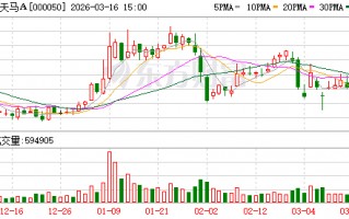 深天马A：公司将坚持“2+1+N”战略引领