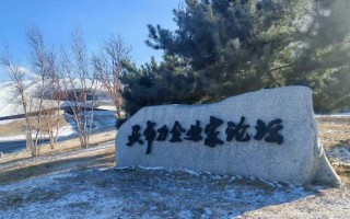 出海别踩坑，合作伙伴怎么选？东南亚“过来人”这样说