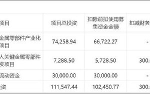 福立旺激进扩张野心与自身造血能力错配？拟定增募10亿 前次募投项目远不及预期