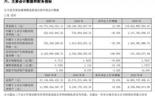 财务总监、首席执行官辞职！神州数码业绩发布：AI业务收入增长近5成，现金流“失血”猛跌近200%