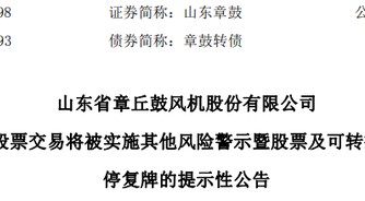 虚减利润被罚！002598，将被ST！