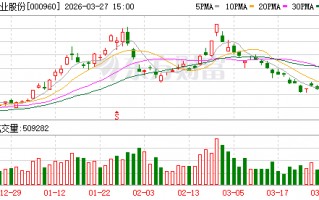 锡业股份：2025年年度归属于上市公司股东的净利润是1966179528.75元