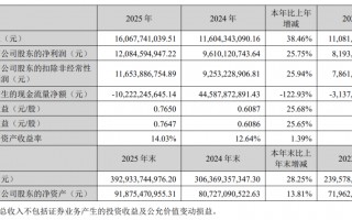天天基金2025年基金销售额达2.6万亿元，创历史新高