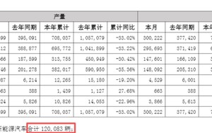 这个赛道，看到了希望