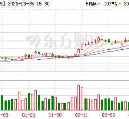 南亚新材2025年净利润同比增长338% 产品量价齐升