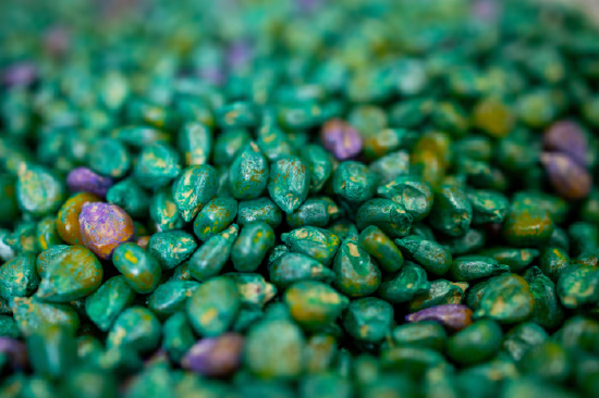 能源危机给一群农业微生物带来“救赎机会”-第3张图片-51吃大瓜