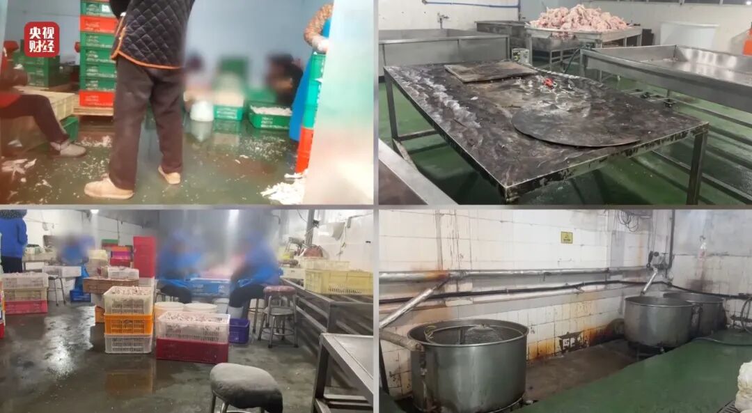 荐股亏损玩消失、万能神药是三无产品、给AI大模型投毒.....“3·15”晚会曝光了这些-第10张图片-51吃大瓜 荐股亏损玩消失、万能神药是三无产品、给AI大模型投毒.....“3·15”晚会曝光了这些-第10张图片-51吃大瓜