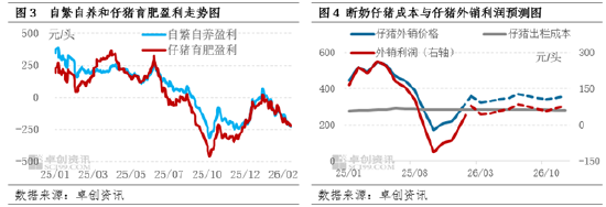 政策与市场共同驱动,母猪产能或在二三季度加速去化-第4张图片-51吃大瓜 政策与市场共同驱动,母猪产能或在二三季度加速去化-第4张图片-51吃大瓜