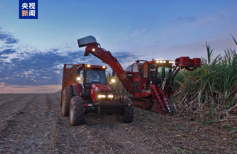 中东冲突推高能源成本 全球食品价格3月上涨-第1张图片-51吃大瓜