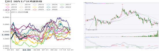 鸡蛋：市场在博弈，淘鸡在观望-第3张图片-51吃大瓜