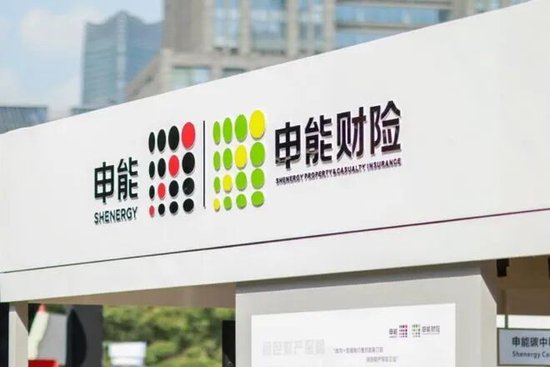 申能财险再成被执行人，累计执行标的超52万元-第1张图片-51吃大瓜